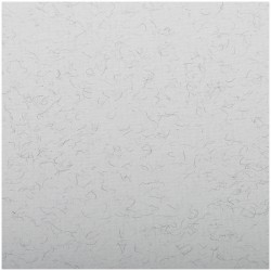 Бумага для пастели №500 бледно-серый, размер 50х65 см, Ingres, 130 гр/м2, Clairefontaine, артикул 93500